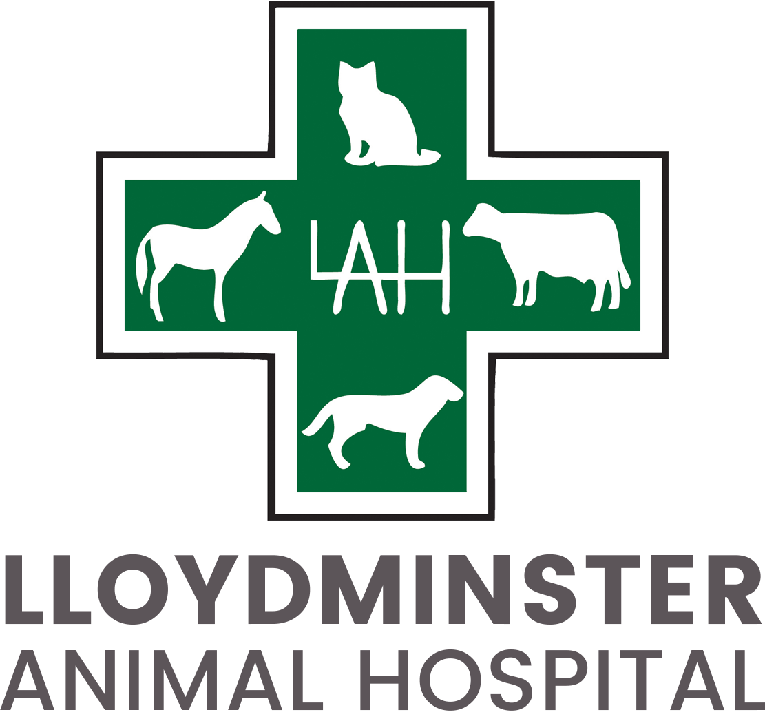 Logo-Lloydminster Animal Hospital